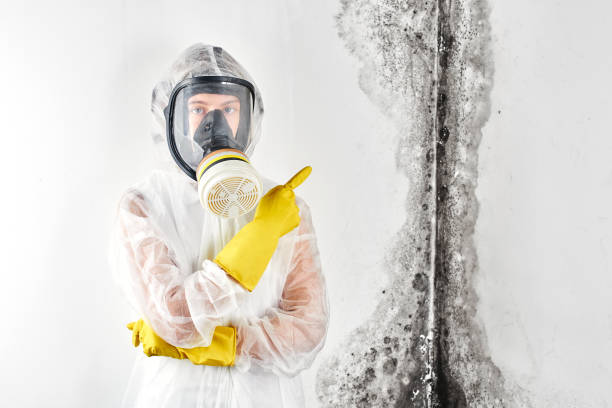 Reliable Shiloh, PA Mold Inspection Solutions